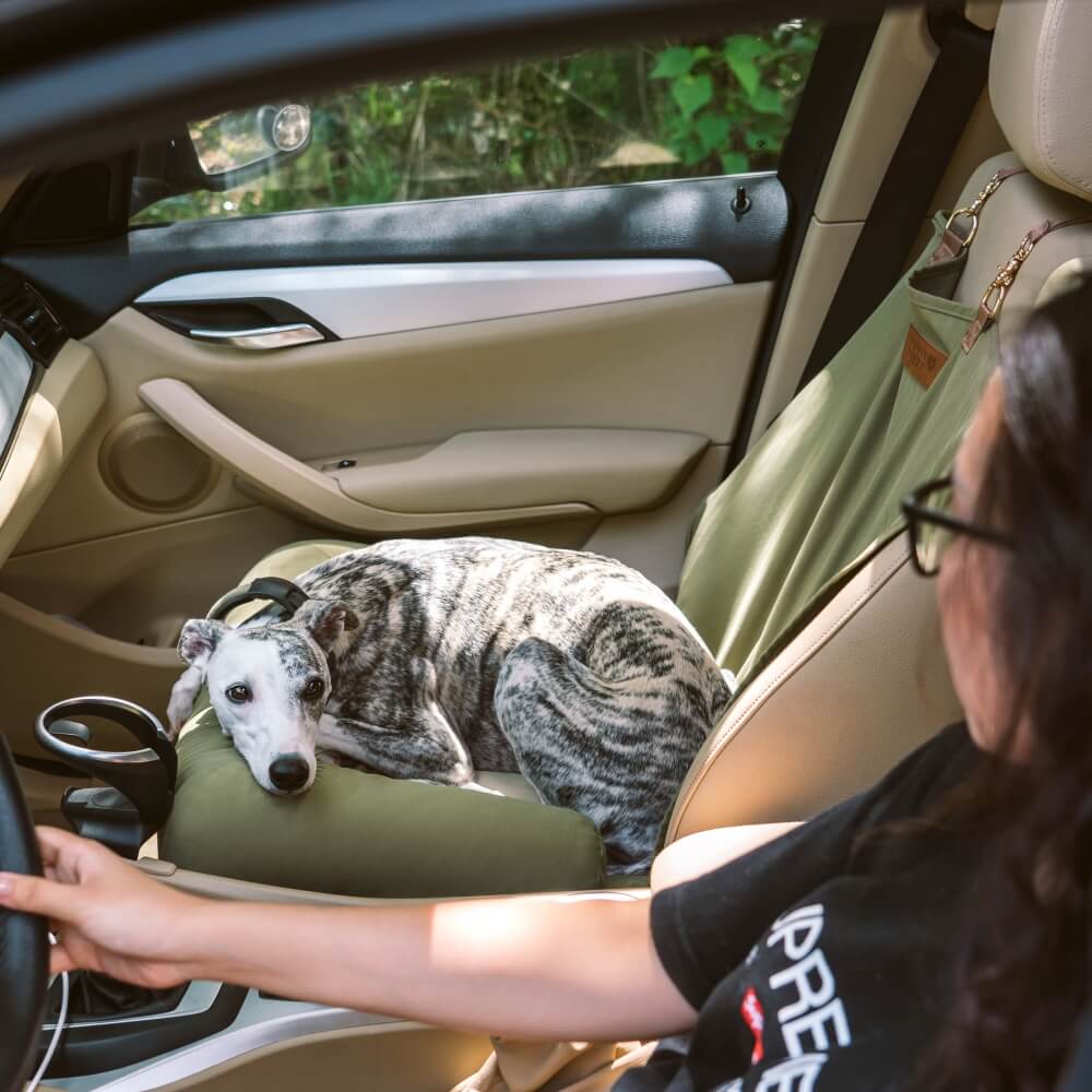 Reisepolster, Sicherheits-Rücksitz, großes Hunde-Autositzbett – Schachbrett-Lounge