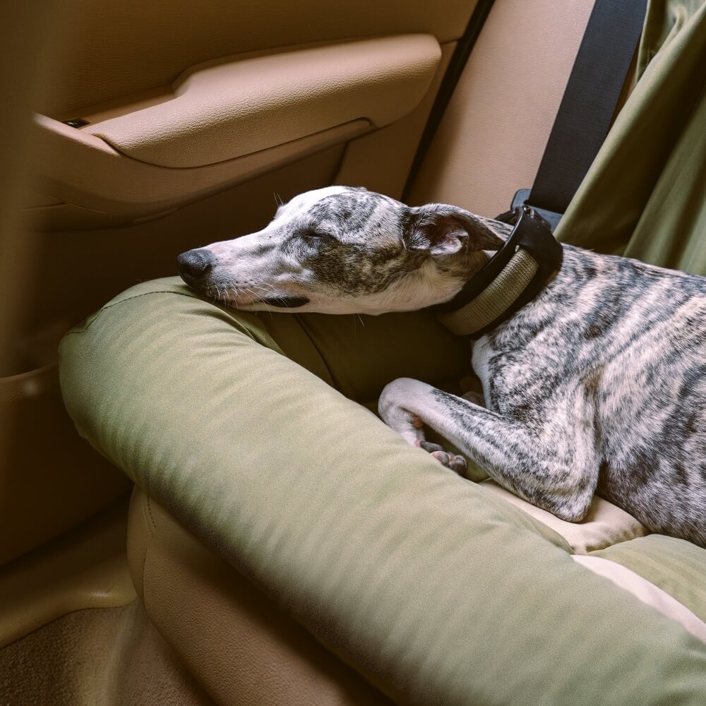 Reisepolster, Sicherheits-Rücksitz, großes Hunde-Autositzbett – Schachbrett-Lounge
