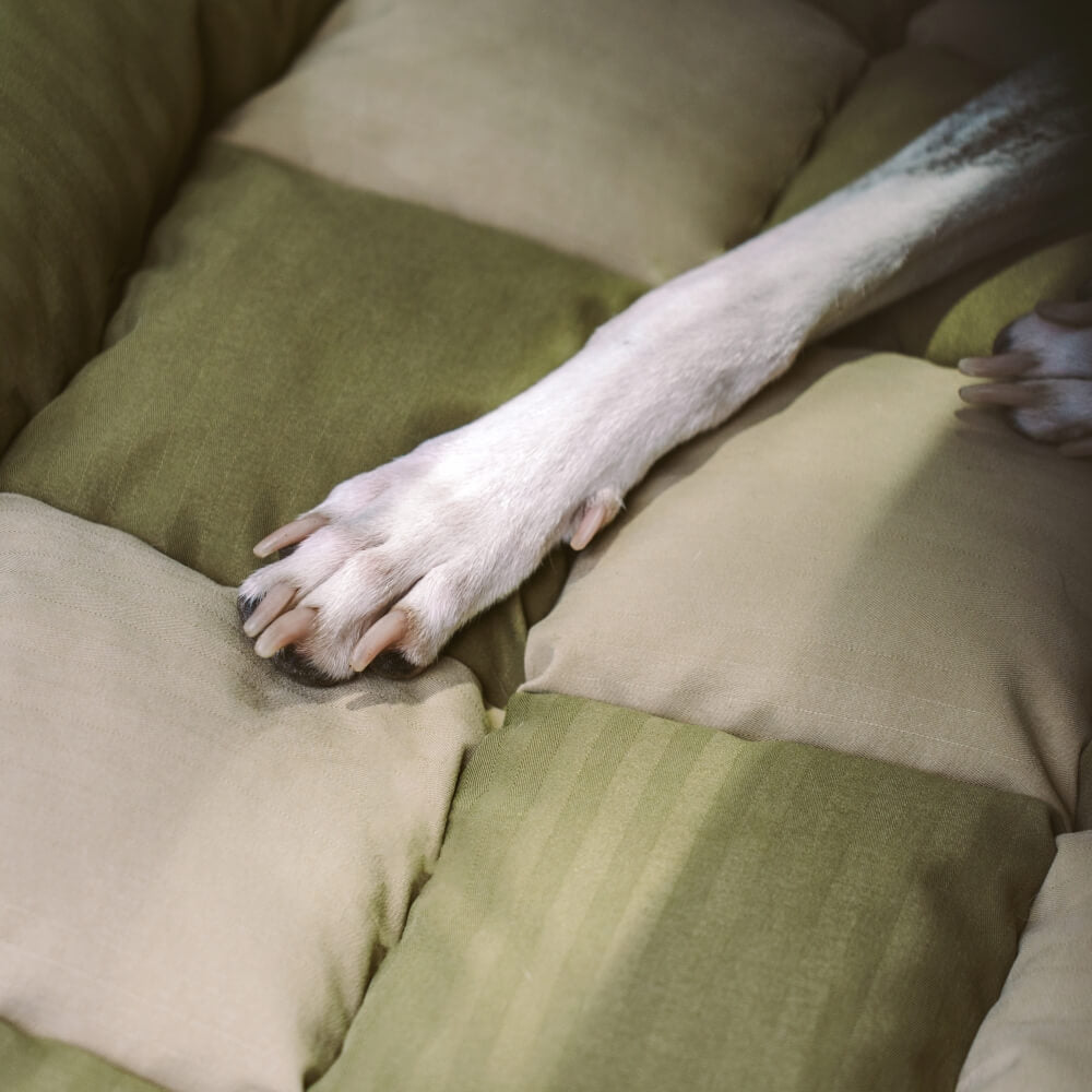 Reisepolster, Sicherheits-Rücksitz, großes Hunde-Autositzbett – Schachbrett-Lounge