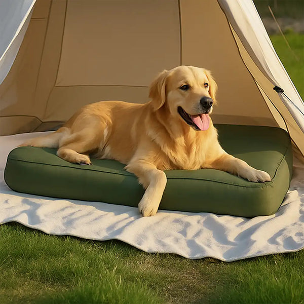 Portable Multi-function Water-resistant Scratch Resistant Inflatable Dog Bed