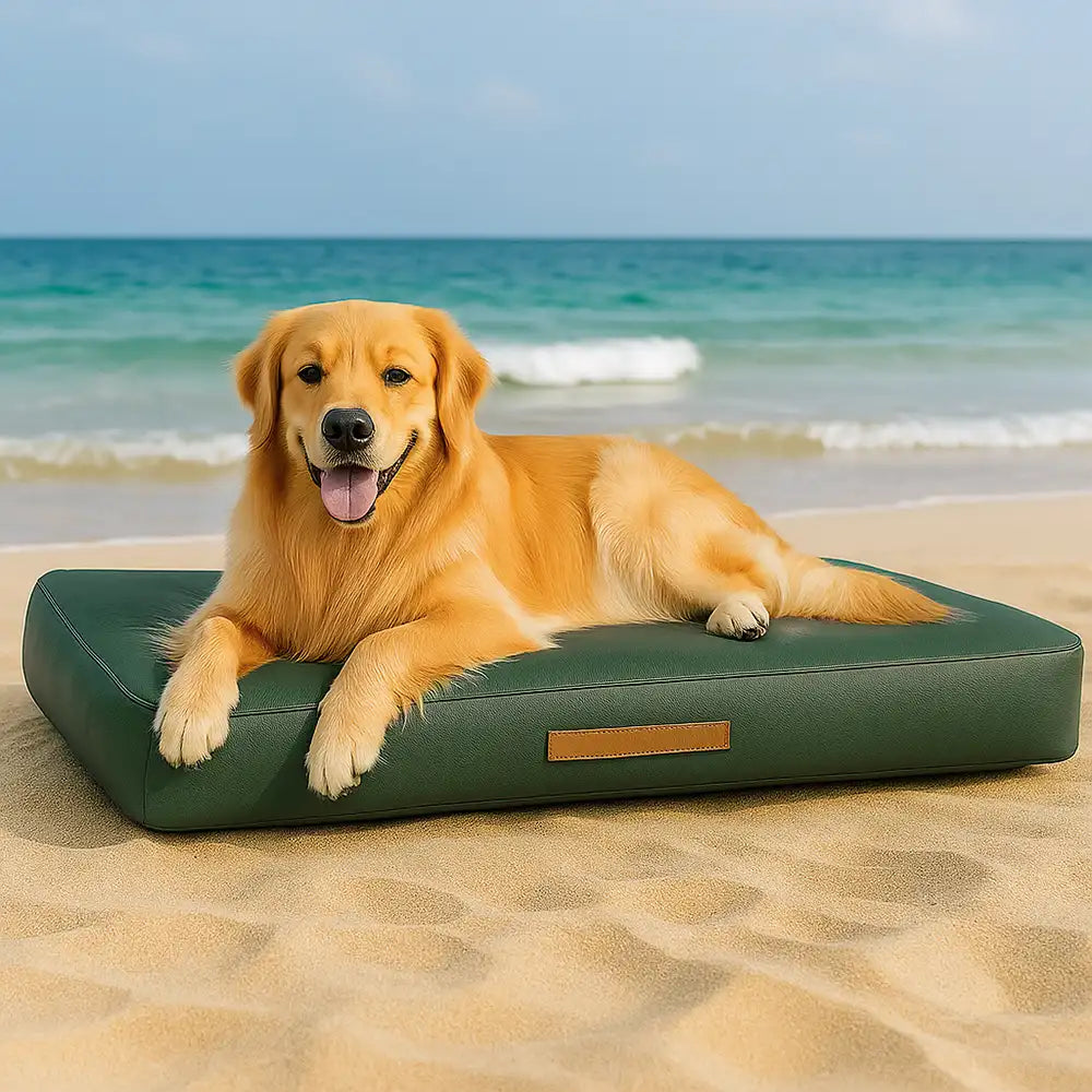Portable Multi-function Water-resistant Scratch Resistant Inflatable Dog Bed