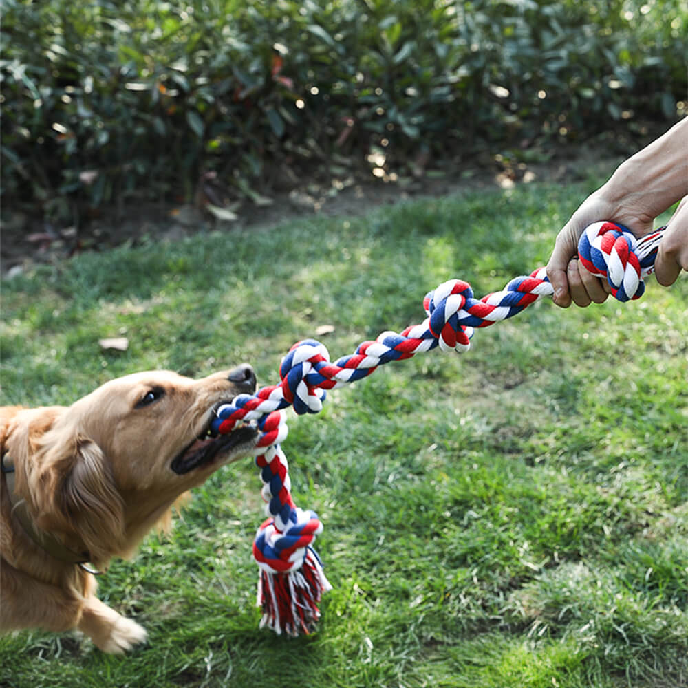 Jouet interactif pour chien remorqueur à nœud de corde