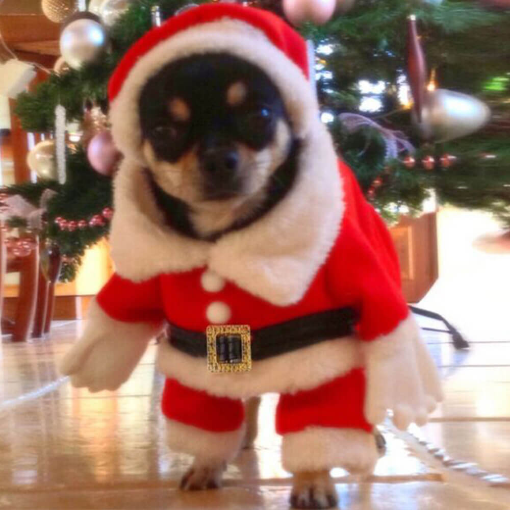 Stereoskopisches Weihnachts-Weihnachtsmann-Outfit, Hut, Cosplay, Hundekostüm