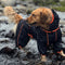 Outdoor-Jacke für große Hunde, wasserdichter, verstellbarer Hunde-Regenmantel
